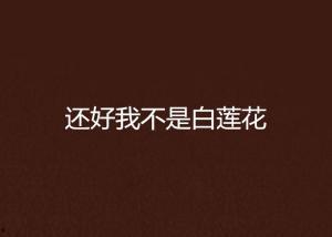 我不是白莲花