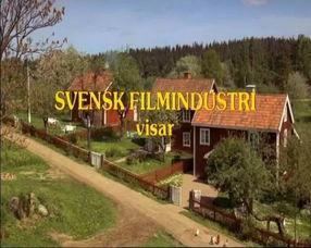 喧闹村的孩子们,欢声笑语中的童年记忆