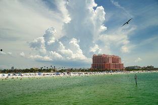 坦帕湾家园 第一季,梦想起航，温馨家园的温馨故事