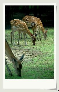 它们！,跟随它们走进过去